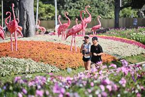 BIB: 
                            <button type="button" onclick="openModal(27794047)" class="btn btn-primary btn-sm float-right btn-popup" data-toggle="modal" data-target=".modal-high-quality">
                        <i class="fas fa-shopping-cart"></i> Add to Cart
                    </button>
                                            <button type="button" onclick="isThisMe(27794047, true)" class="btn btn-success btn-sm float-right btn-popup btn-isme hidden" data-toggle="tooltip" data-placement="bottom" title="นี่คือรูปของคุณใช่ไหม คลิกที่นี่เพื่อเอาเข้าอัลบั้ม">
                        <i class="fas fa-plus"></i> Add to album
                    </button>
                    <button type="button" onclick="isThisMe(27794047, false)" class="btn btn-warning btn-sm float-right btn-popup btn-isnotme hidden">
                        <i class="fas fa-ban"></i> Remove from album
                    </button>